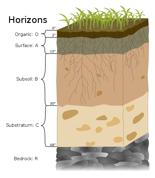 Graphic of soil horizons showing the surface, substratum, subsoil, and bedrock.