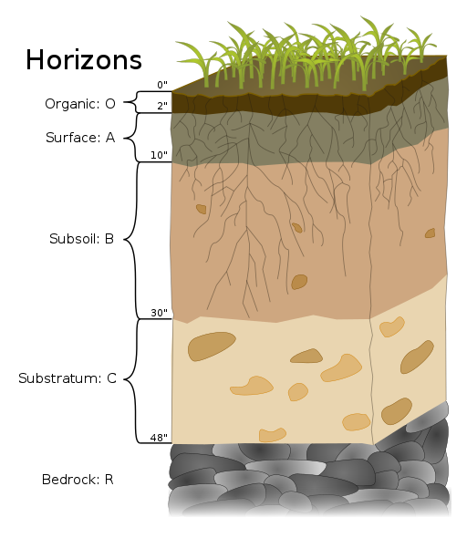 What Is Subsoil And How Does It Help A Garden? - The Stanislaus Sprout ...