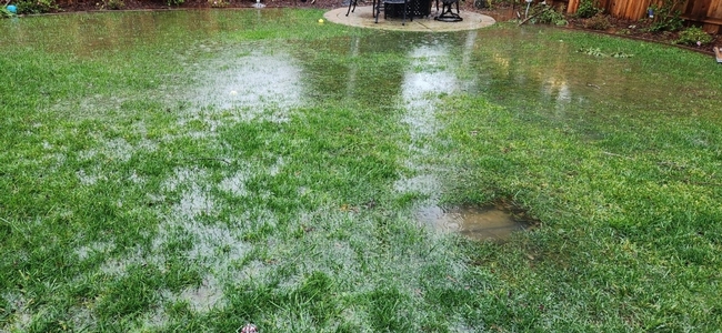 Close up of water flooding a lawn.