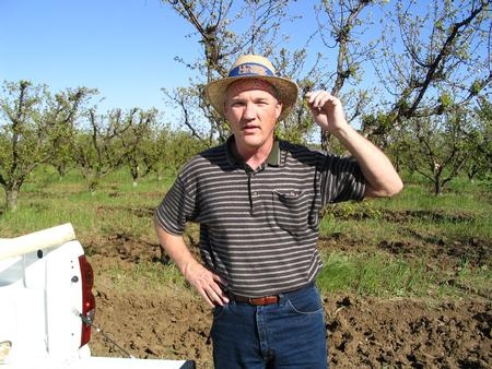 Man standing in fruit tree orchard.