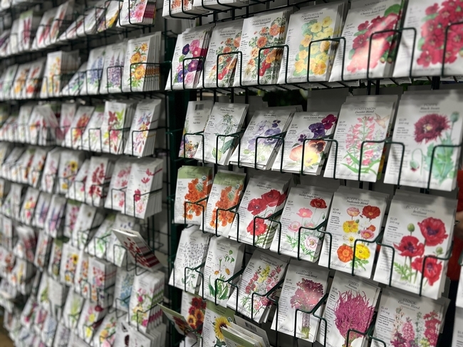 Rack of colorful seed packets in a nursery or garden center.