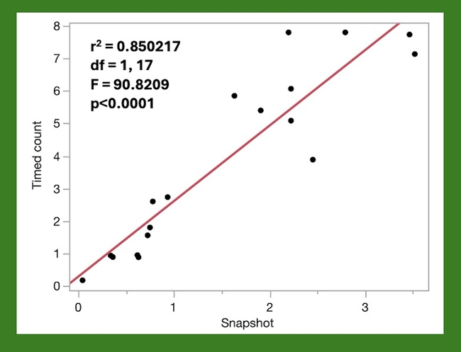 Regression analysis comparing snapshot and timed counts for bees