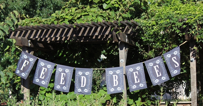 Feed Bees banner at the UC Davis Bee Haven
