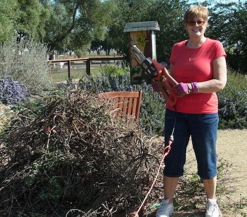 Janet Brown-Simmons next to dead plants she has just removed from the garden.