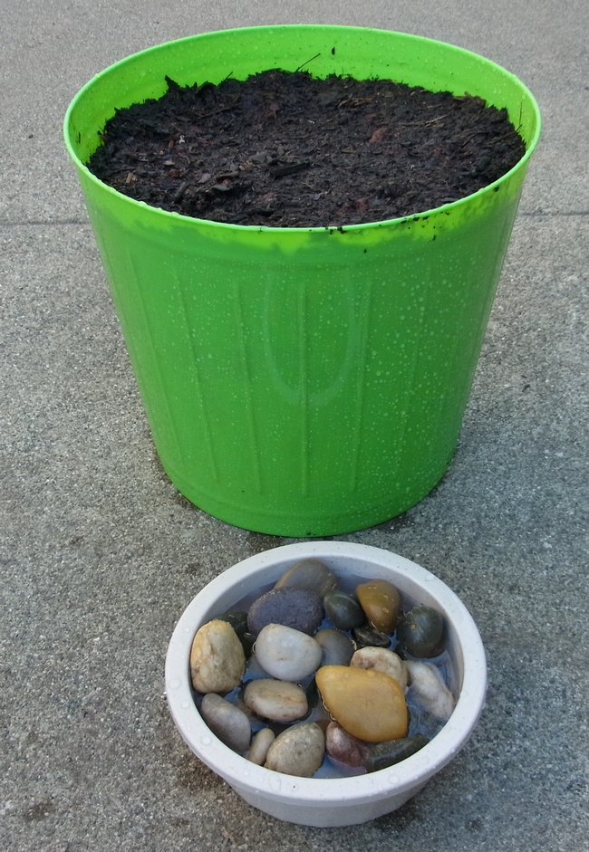 The planted container and a bee water source as they appear on March 10.