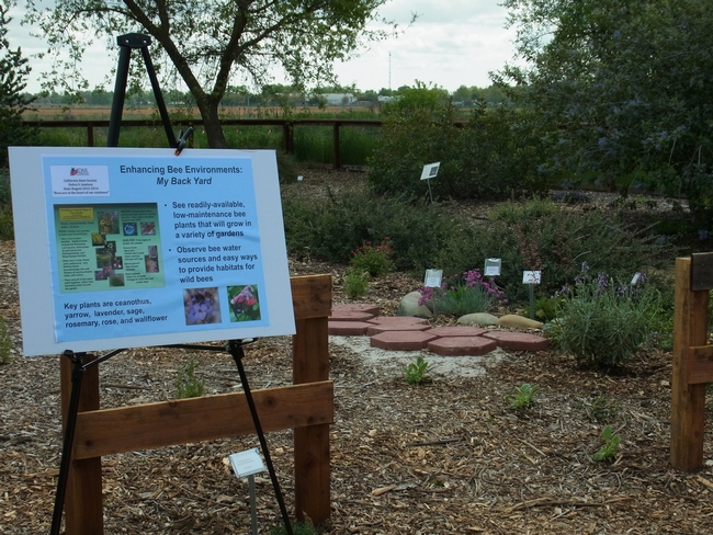 Sign describing the changes to be made to the My Back Yard area of the garden