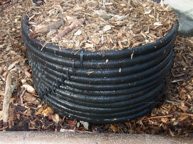 Bee water source and planter made from a used soaker hose
