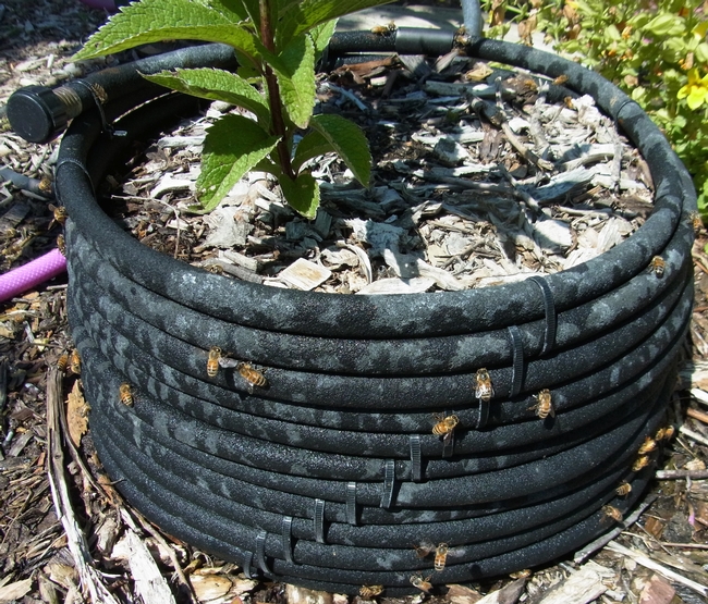 Bee watering container made from a soaker hose
