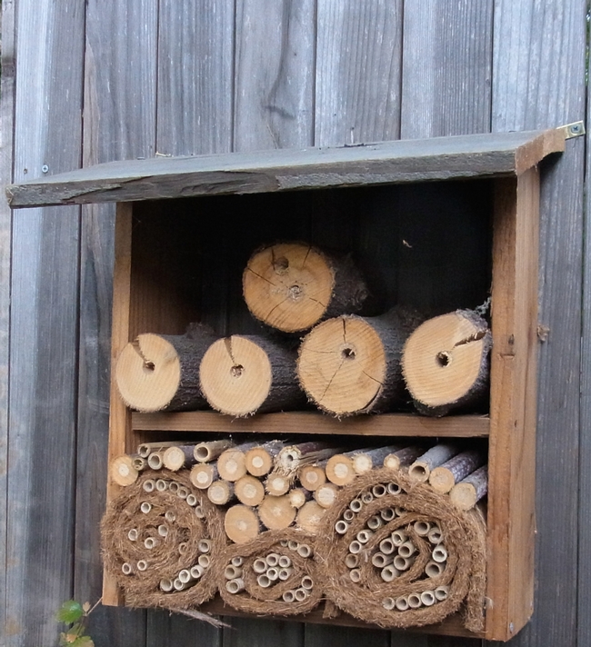 Fence-mounted bee hotel similar to what will be available for purchase at the open house.