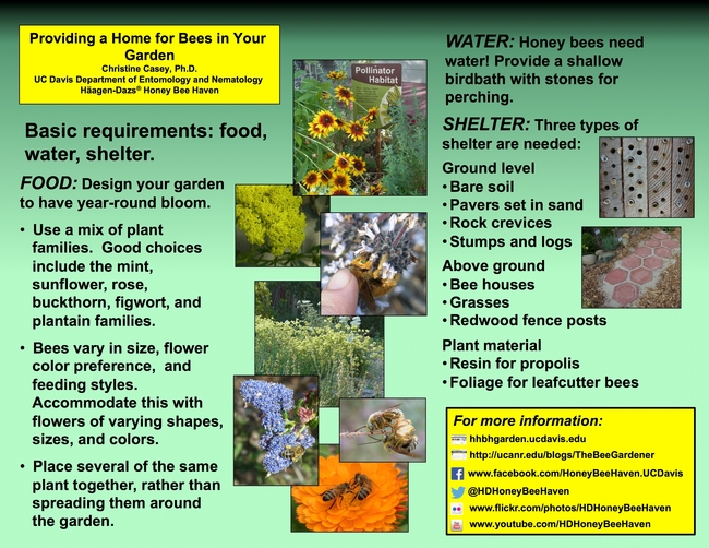 Handout describing the basics of gardening for bees