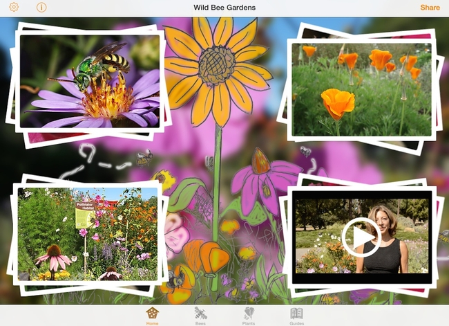 Wild Bee Gardens app