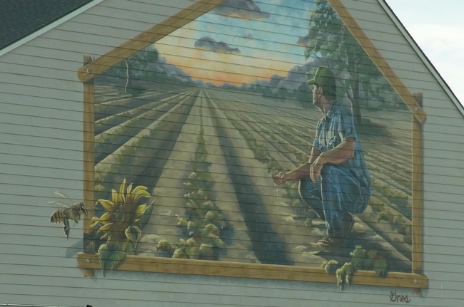 Mural depicting farm field and bee