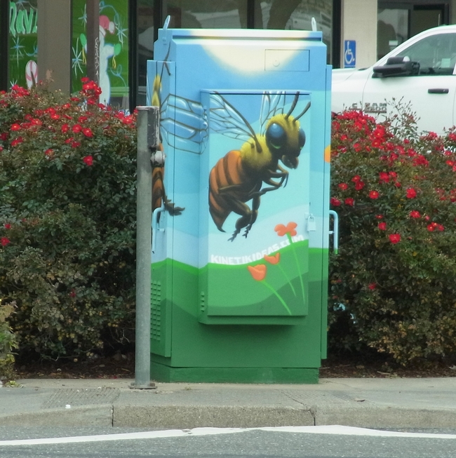 Painted utility box at a busy corner with bee and poppy flower