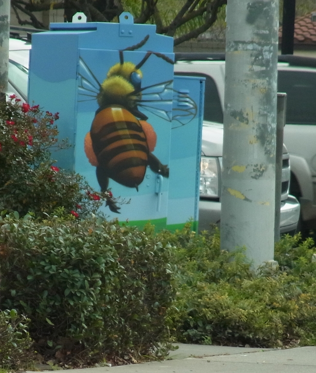 Another view of the utility box depicting the bee's heavy pollen load.