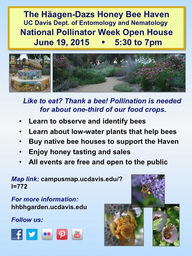 Flyer describing the National Pollinator Week open house at the Honey Bee Haven on June 19