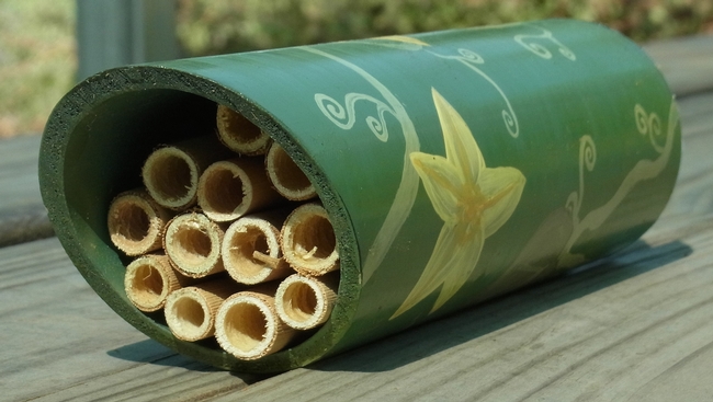 A painted bee nesting tube similar to the ones for sale at the open house