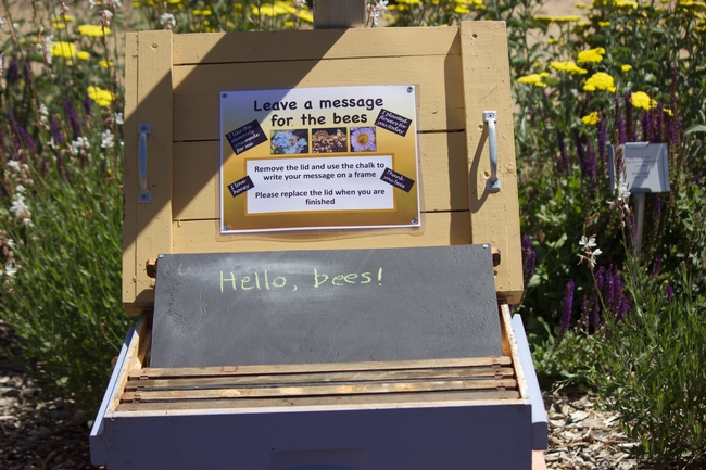 Each frame inside the message box that once held bees is now a chalkboard for writing or drawing