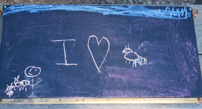 A message left for the bees by a young visitor