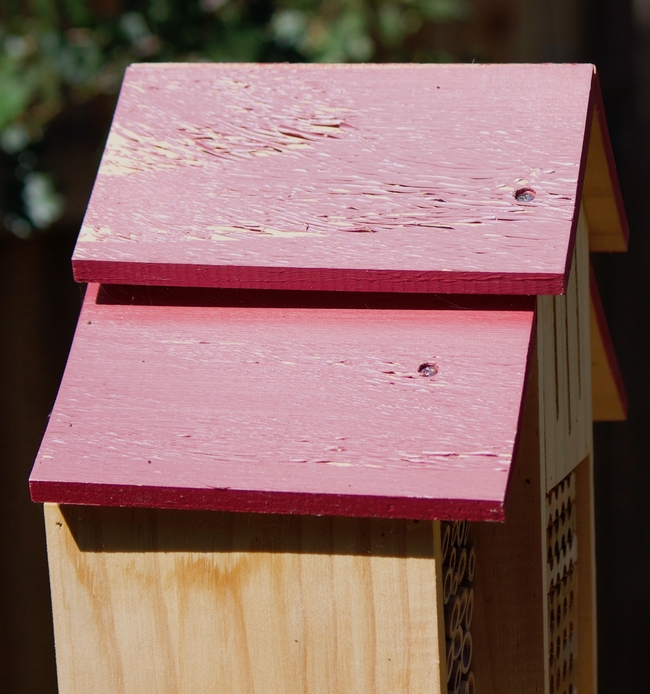 Photo showing weather damage to the 2019 Bambeco solitary bee house