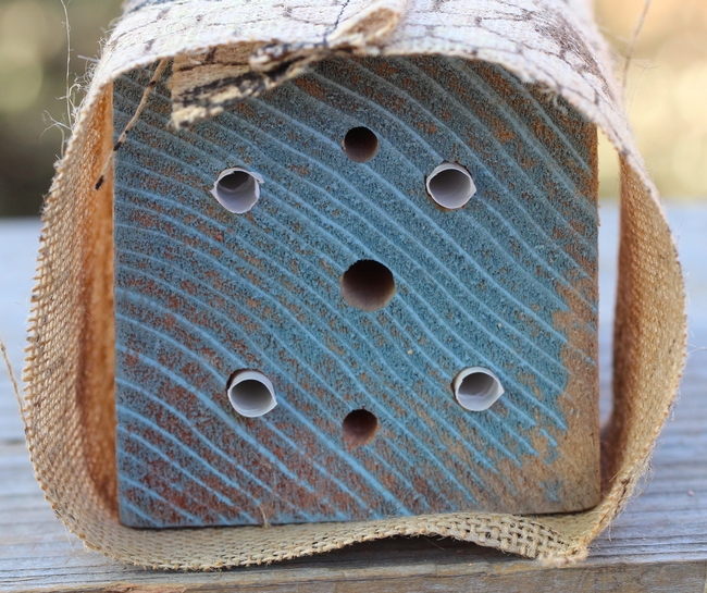 Example of a correctly-made solitary bee house