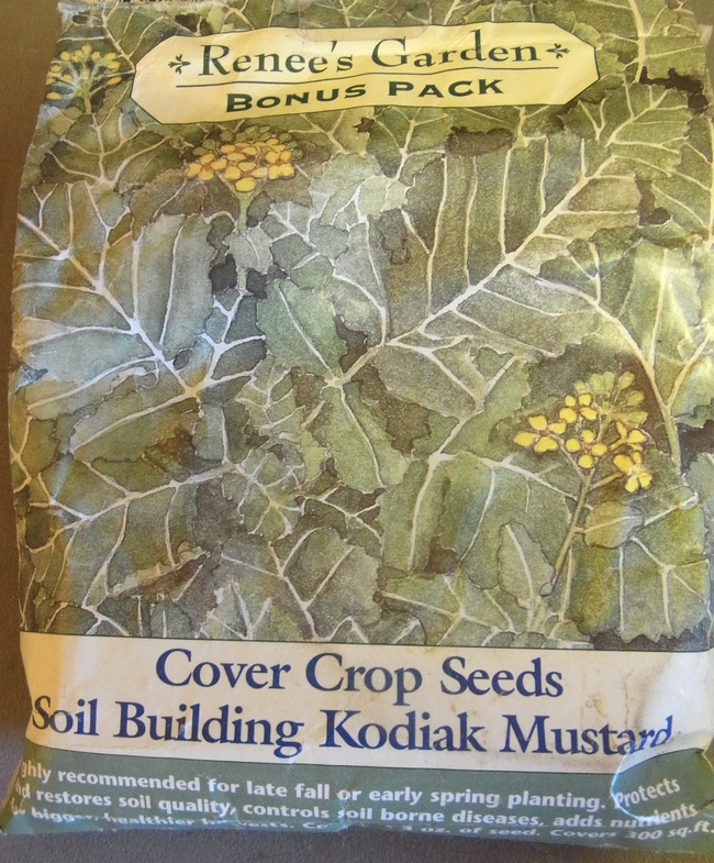 Mustard cover crop seeds