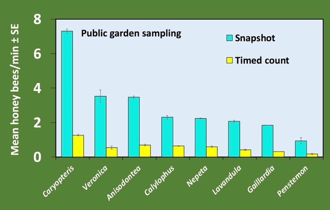 Graph of honey bees per minute by sampling method at a public garden