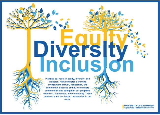 two interconnecting trees that help to form the words equity, diversity, and inclusion as intertwined roots.