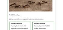 Ant Workshop Page 1 for Topics in Subtropics Blog