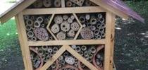 bee hotel for Topics in Subtropics Blog