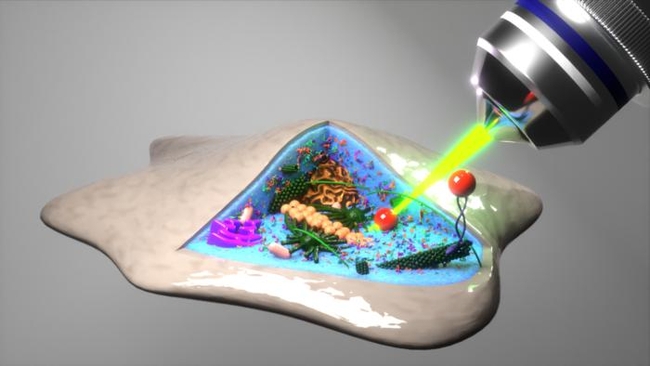 laser vieww into cell