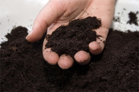 handful soil