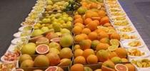 citrus selection for Topics in Subtropics Blog