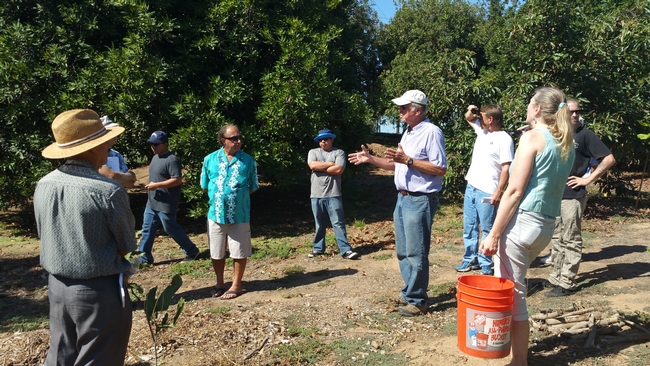 Macadamia Field Day 2015- UC Emeritus Farm Advisor Gary Bender Speaking
