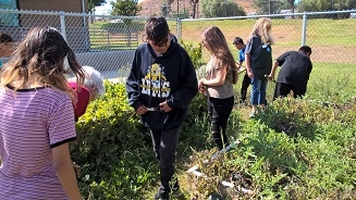 UCCE Master Gardeners working with garden club students