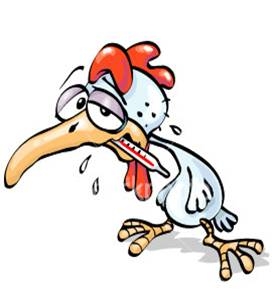 Chicken with flu