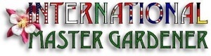 International MG logo