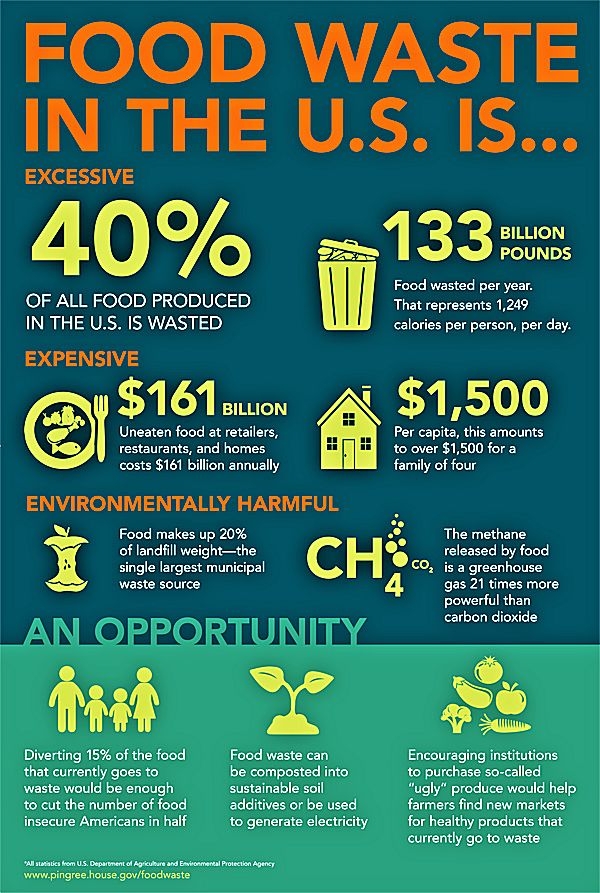 Food Waste Infographic shareable