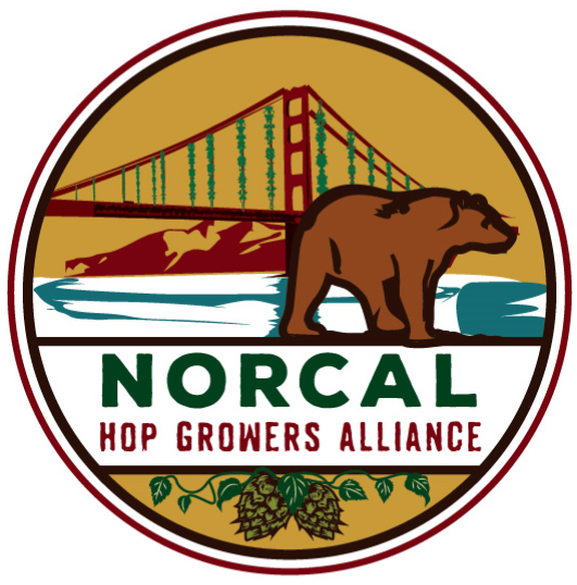 NorCal Hop crop