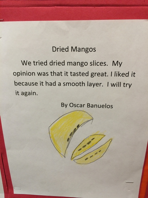 Student describes texture of mango while learning how to write about opinions.