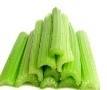 celery blog1