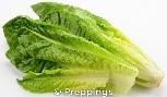 lettuce blog1