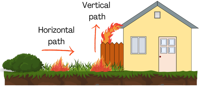 Figure 3. Weeds can create a horizontal path for the fire to spread, but also cause the ignition of other flammable components allowing the fire to go up vertically. Photo by Luca Carmignani, UCCE.