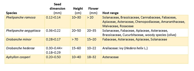 Table 1: Morphological characteristics and host range of holoparasitic broomrape species