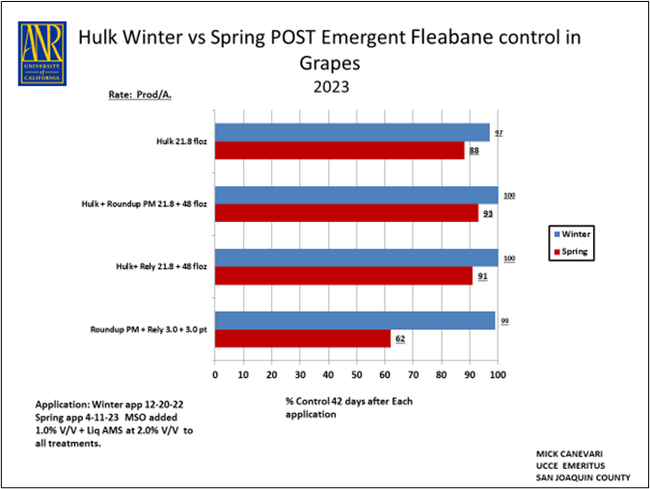 Figure 1. Winter vs Spring Fleabane control Hulk Herbicide.