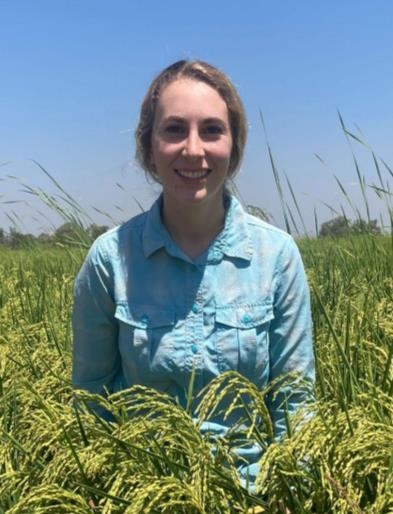 Sarah Marsh, UC Cooperative Extension Rice Farming Systems Advisor serving Colusa and Yolo counties