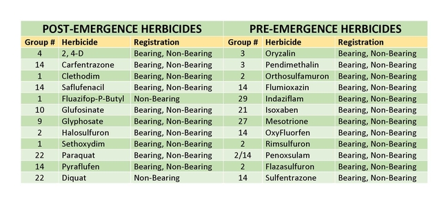 Table 1. Herbicides registered for use in CA tree and vine crops. https://wric.ucdavis.edu/. Mention of a trade name is not an endorsement or recommendation. Always check the label before applying.
