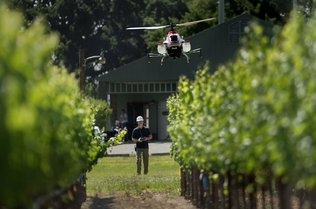 drone crop duster Sac Bee  Randall Benton