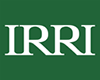 IRRI logo
