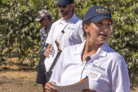 UCD Postdoc Bahar Yildiz Kutman discusses herbicide research in orchards (photo by Todd Fitchette)