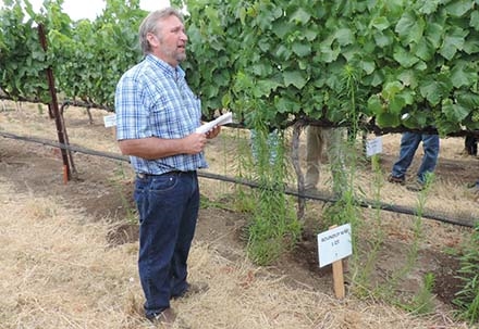 Weed science advisor John Roncoroni explains that Roundup doesn't do much for horseweed during a presentation about the use of herbicides in vineyards.